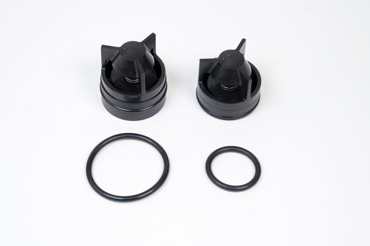 WILKINS - 3/4" 350 COMPLETE KIT INCLUDES (BOTH CHECKS)