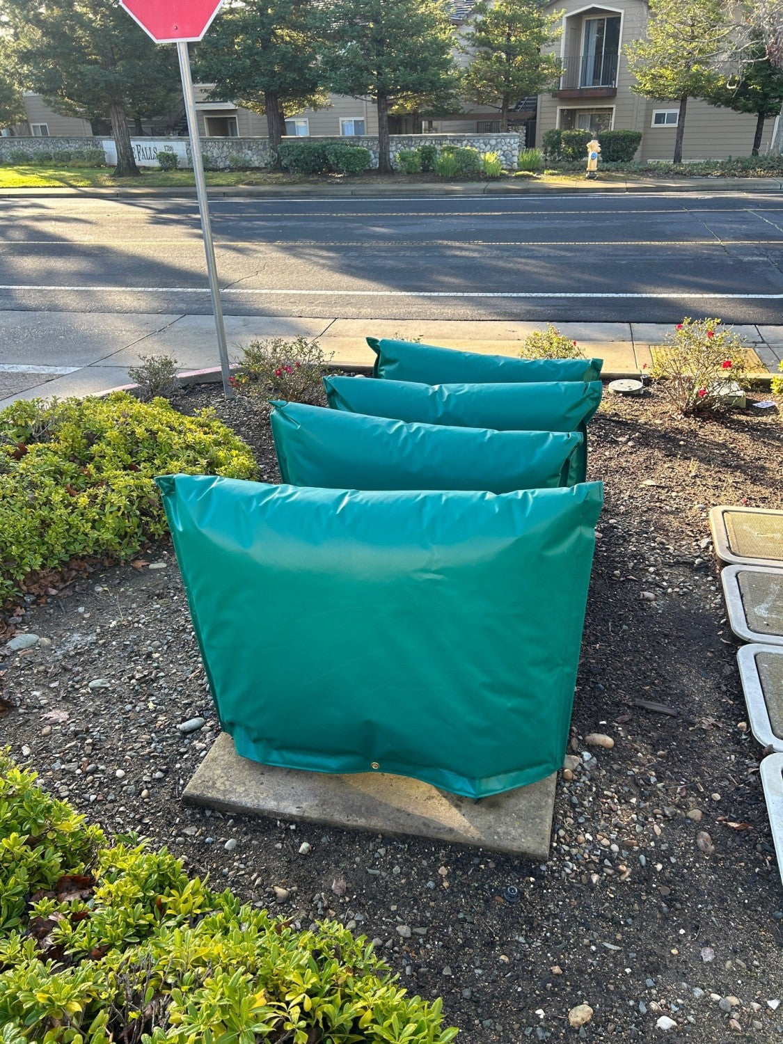 Freeze Bag - Small (Closed Top & Sides)