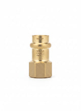 Fittings:.5 PP x Female Adapter