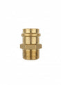 Fittings:1 PP Male Adapter