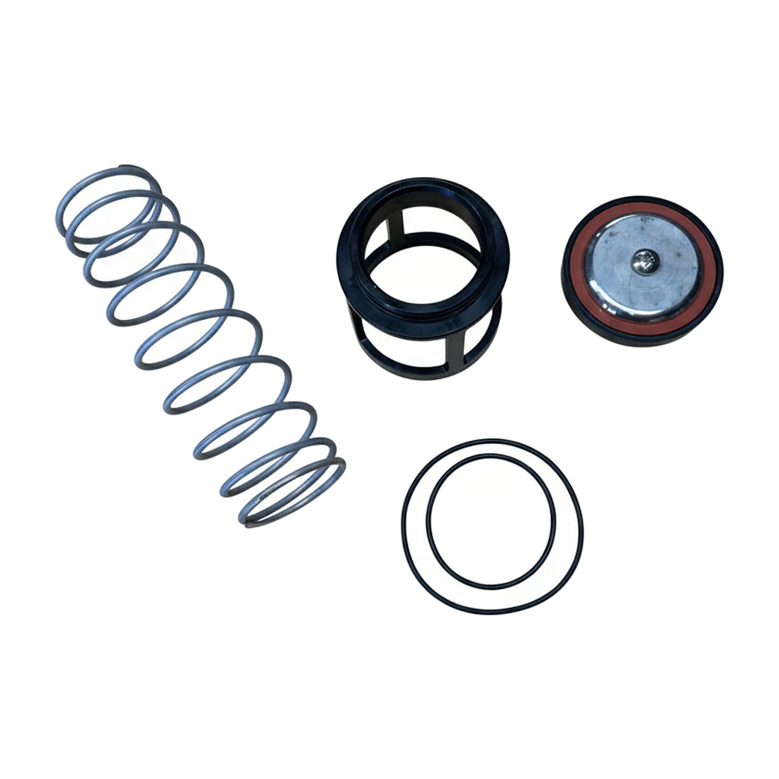 Watts 1st Check Assembly for 2" 919