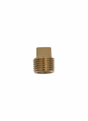 Bolts & Gaskets:.5" LF PLUG BRASS