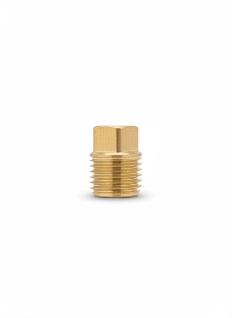 Bolts & Gaskets:.25" LF PLUG BRASS