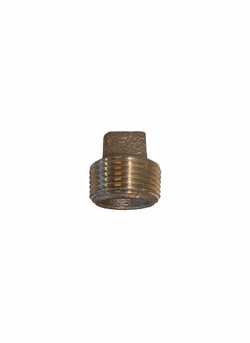 Bolts & Gaskets:.75" LF PLUG BRASS