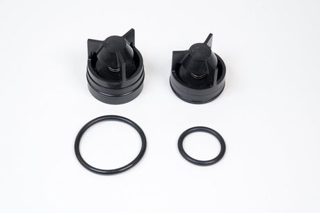 WILKINS - 3/4" 350 COMPLETE KIT INCLUDES (BOTH CHECKS)