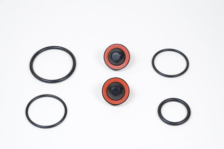 WILKINS - 3/4" 350 RUBBER KIT