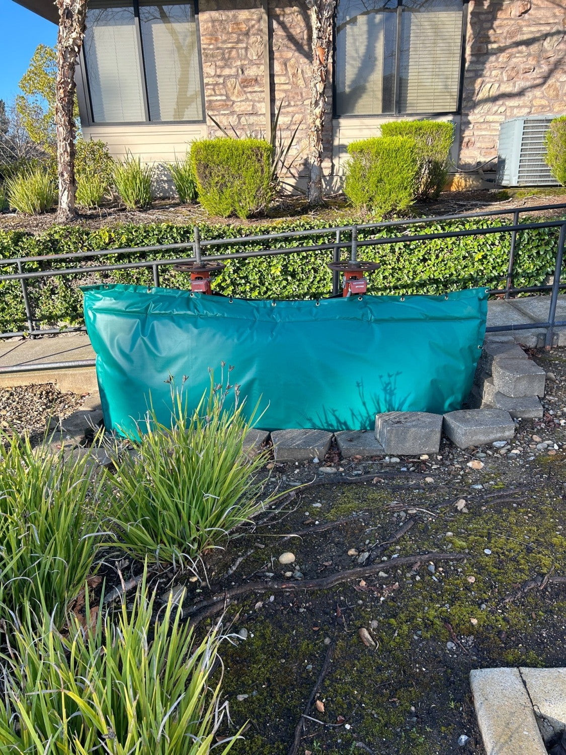 Freeze Bag - Large (Closed Top & Sides)